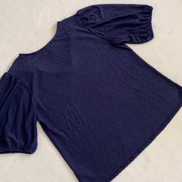 W5 | Pointed Scallop Bib Collar Swiss Dot Short Sleeve Blouse Top Blue/White (L) - Picture 10 of 14